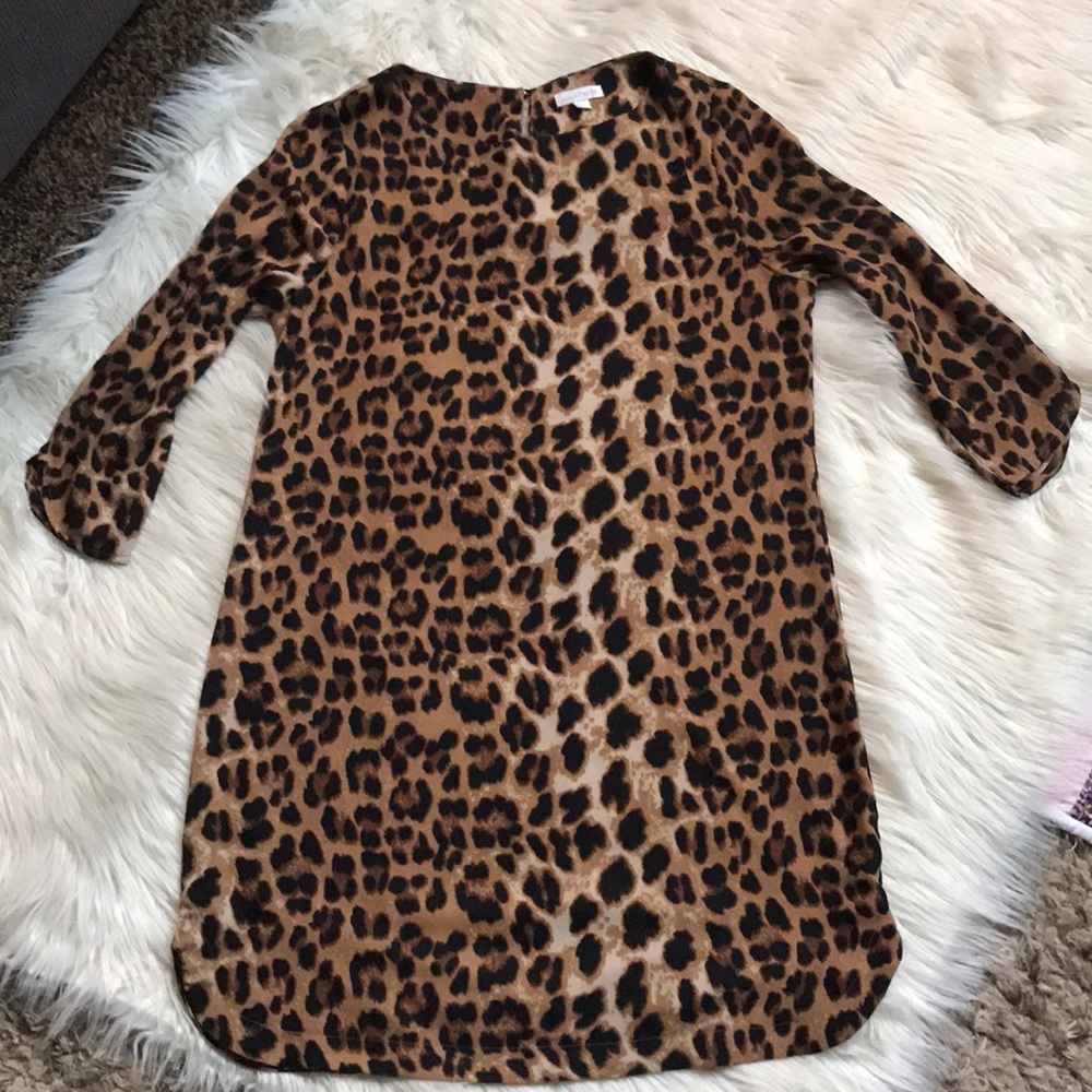 Charming Charlie Dress